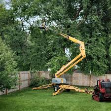 Best Tree Maintenance Programs  in Howe, TX