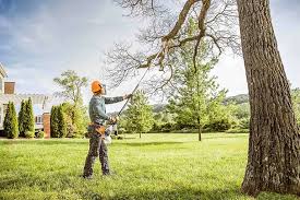 Organic Lawn Care Solutions in Howe, TX